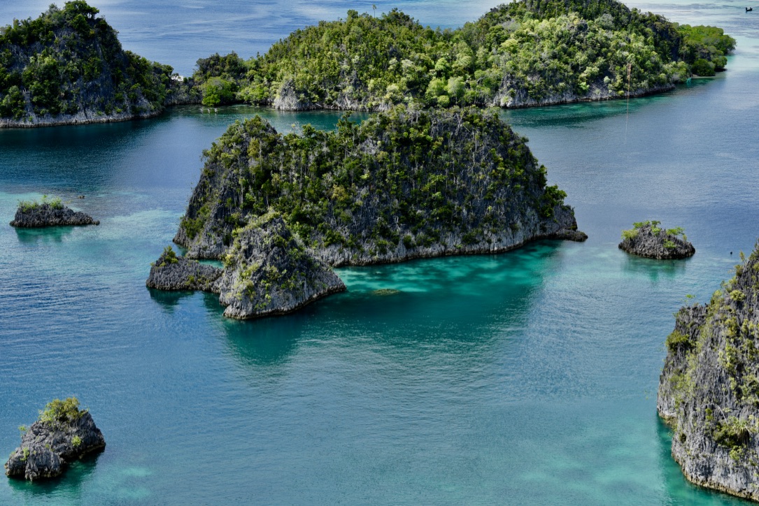 Idyllic Raja Ampat & Cenderawasih Bay
