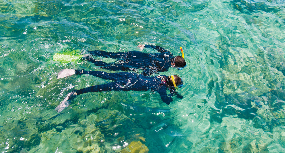 ONE-OF-A-KIND EXPERIENCES: GREAT BARRIER REEF ADVENTURE