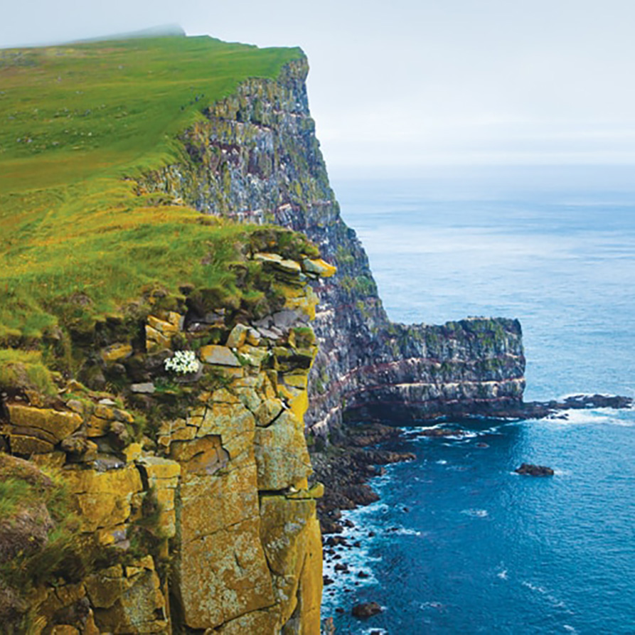 NORTHERN EUROPE CRUISES